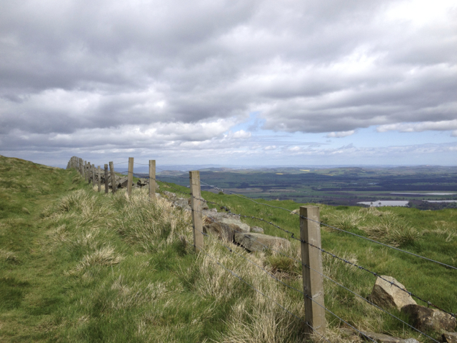 A stroll up Falkland Hill is the perfect remedy for any unwelcome Ceilidh after-effects!